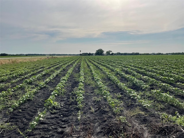 0 Fm 2546, El Campo, TX 77437