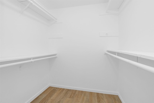 walk in closet with light wood finished floors