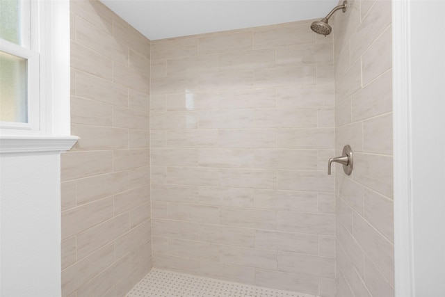 bathroom with a shower stall