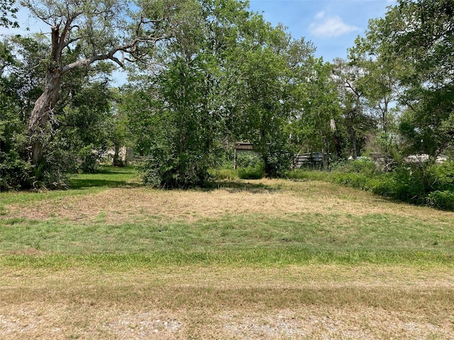 Listing photo 2 for 0 Little John Dr, Bay City TX 77414