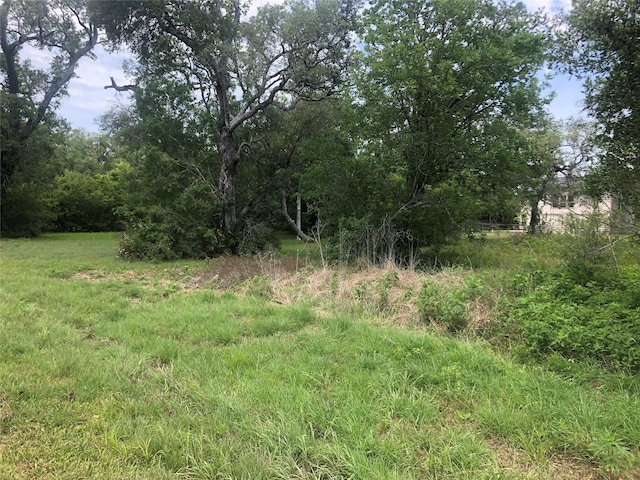 0 Little John Dr, Bay City, TX 77414 - photo 4