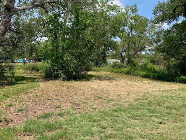 0 Little John Dr, Bay City, TX 77414 - photo 5