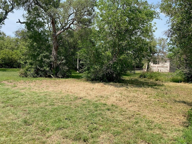 0 Little John Dr, Bay City, TX 77414 - photo 6