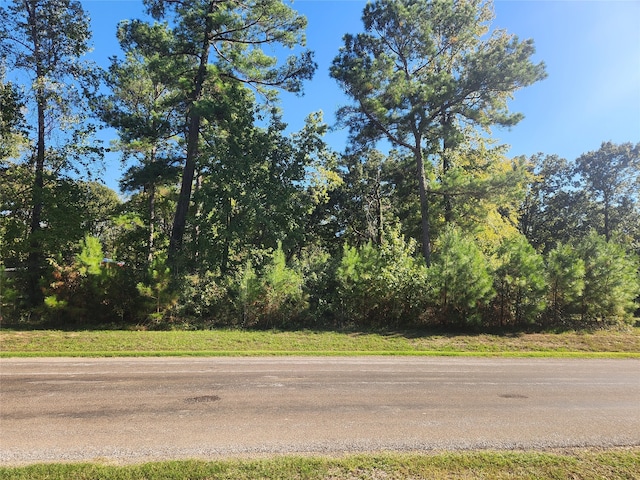 TBD Hidden Oaks Dr, Point Blank TX, 77364 land for sale