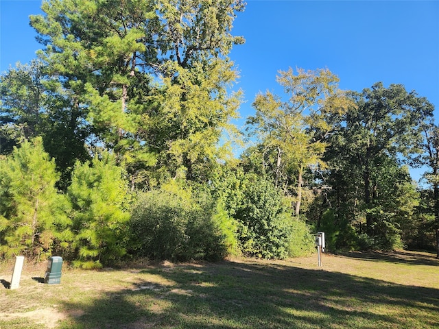 Listing photo 3 for TBD Hidden Oaks Dr, Point Blank TX 77364