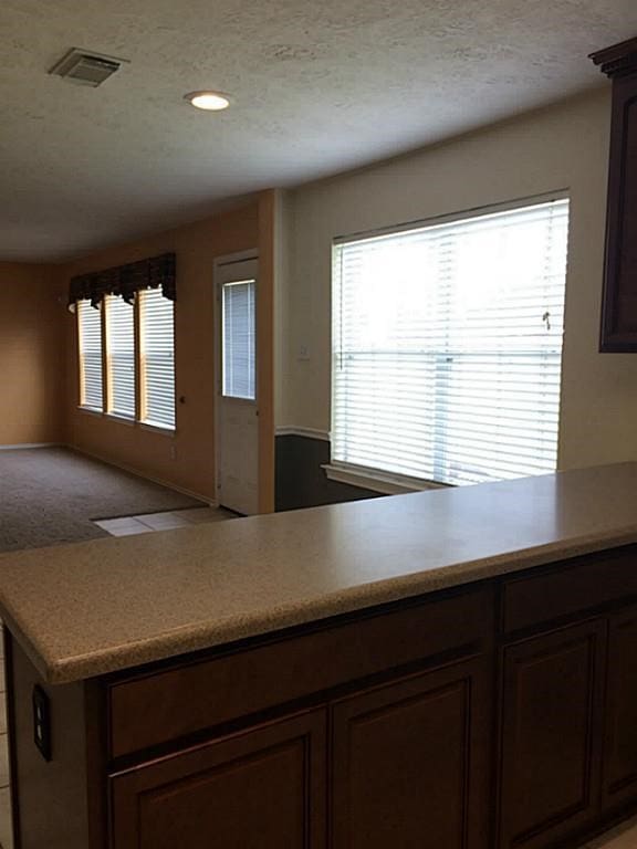 kitchen with dark brown cabinetry, plenty of natural light, and carpet flooring