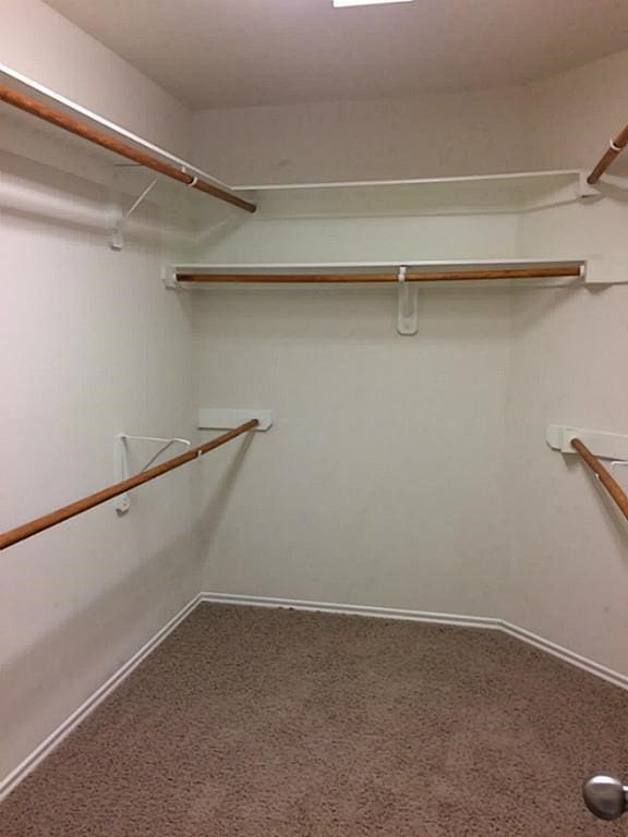 spacious closet with carpet floors