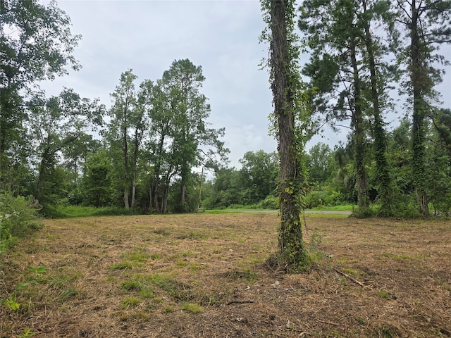 Listing photo 3 for TBD Westwood Ave, Liberty TX 77575