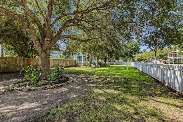 view of yard