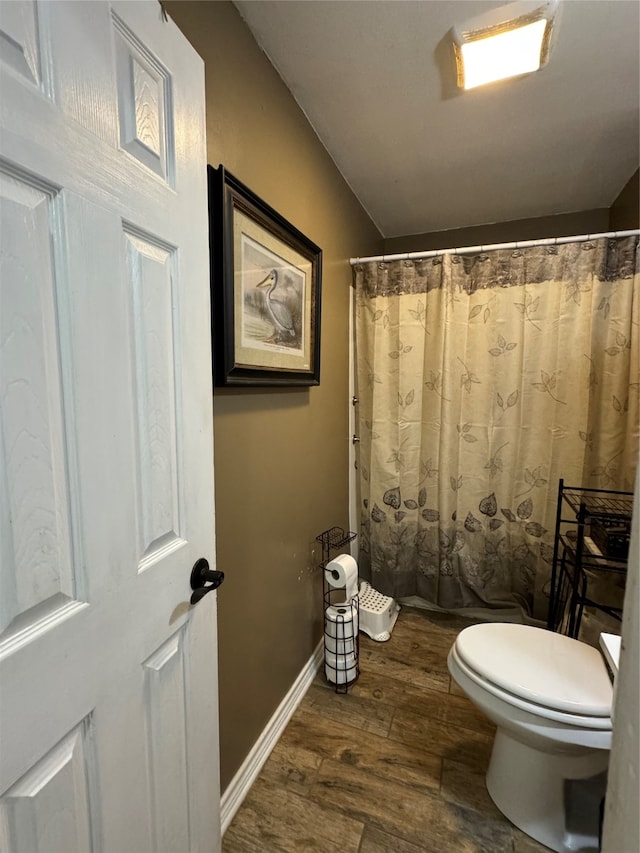 bathroom with toilet and wood-type flooring