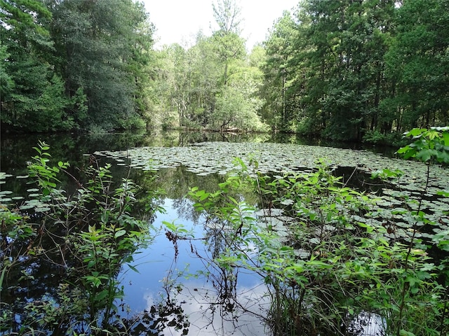 view of local wilderness featuring a water view