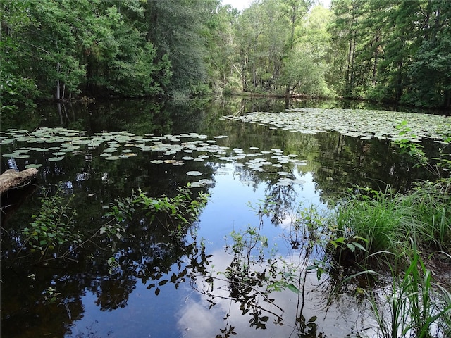 view of water feature