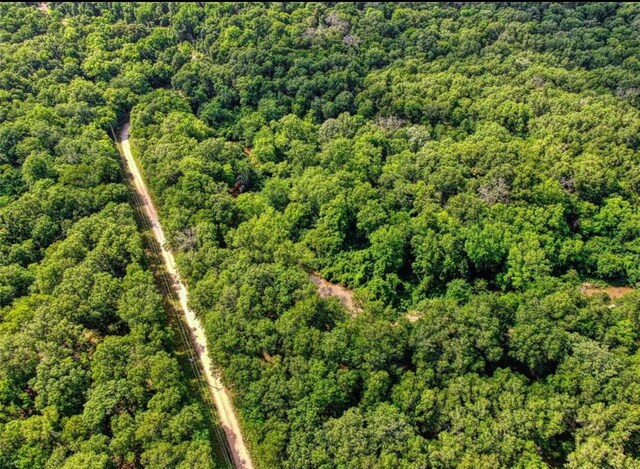 TBD County Road 112, Centerville, TX 75833 - photo 9