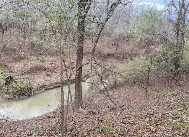 TBD County Road 112, Centerville, TX 75833 - photo 2