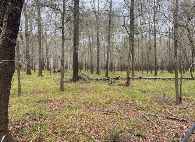 TBD County Road 112, Centerville, TX 75833 - photo 1