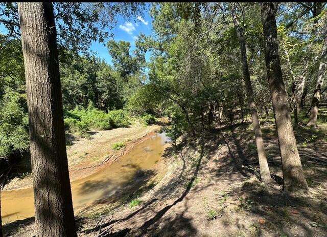 TBD County Road 112, Centerville, TX 75833 - photo 13