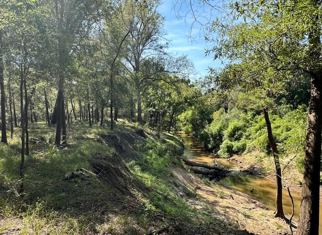 TBD County Road 112, Centerville, TX 75833 - photo 14