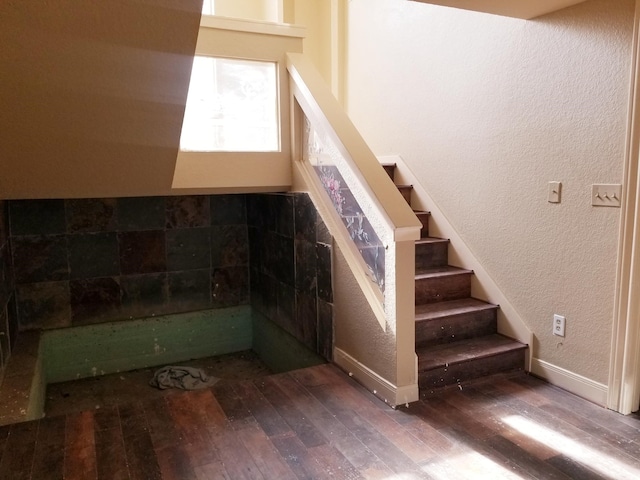 stairway with wood-type flooring