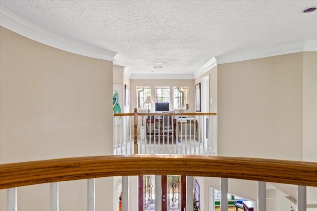 hallway with a textured ceiling and crown molding