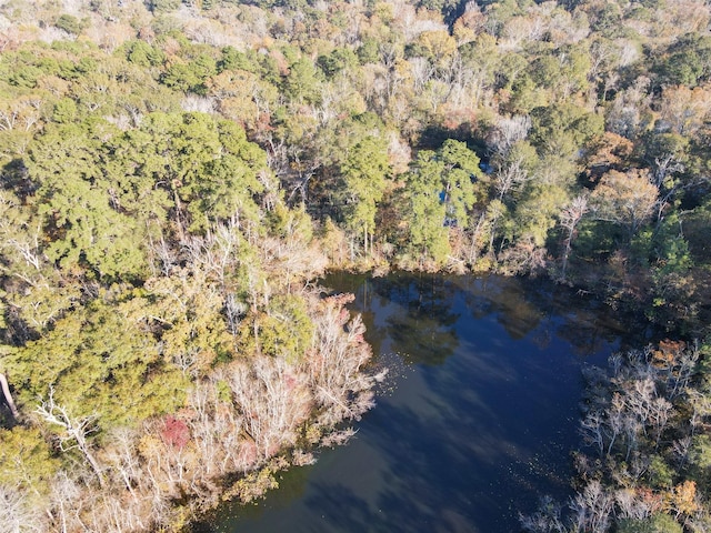 TBD Greenfield Dr, Montgomery, TX 77303 - photo 10