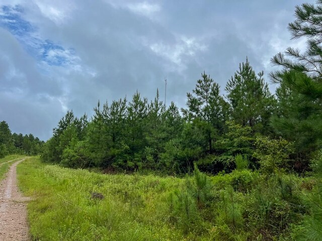 T35 Fm 355, Groveton, TX 75845