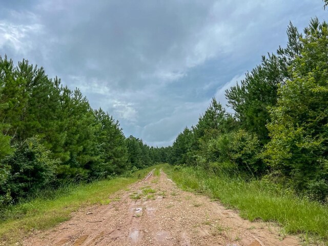 T35 Fm 355, Groveton, TX 75845