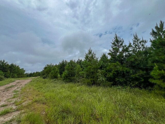 T35 Fm 355, Groveton, TX 75845