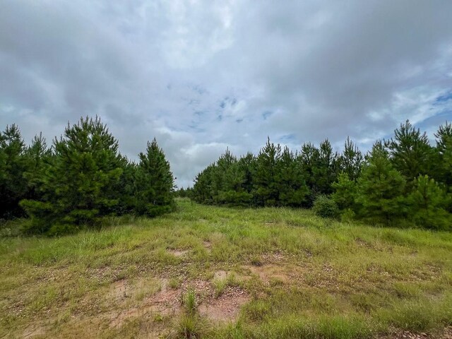 T35 Fm 355, Groveton, TX 75845