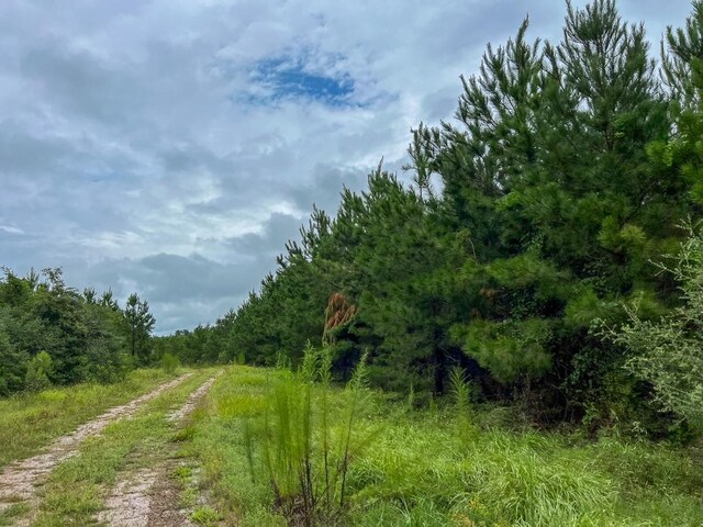 T35 Fm 355, Groveton, TX 75845