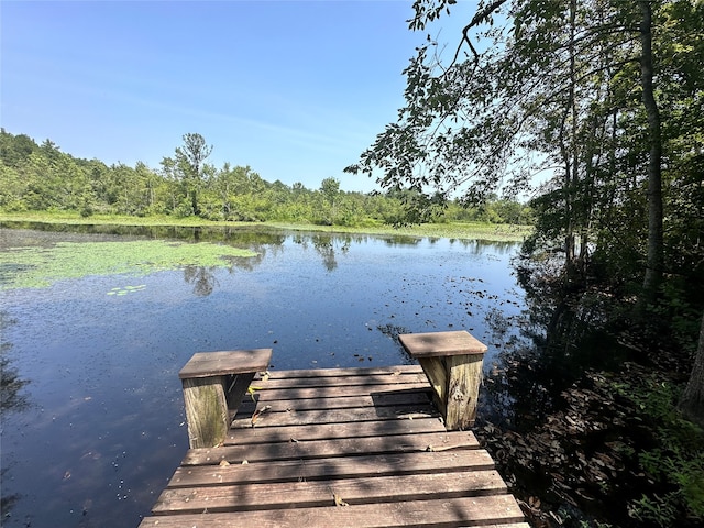 view of dock featuring a water view