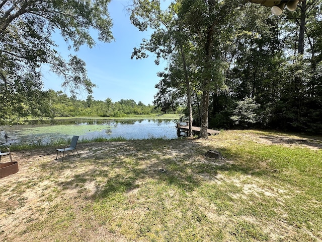 property view of water