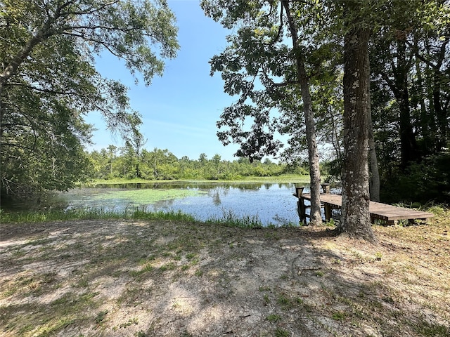 view of dock with a water view