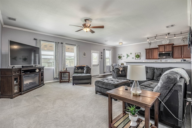 carpeted living room with crown molding, a textured ceiling, ceiling fan, and rail lighting