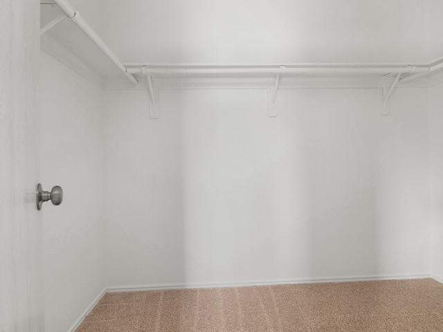 spacious closet with carpet