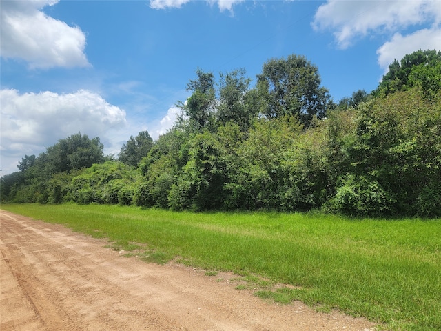 Listing photo 2 for 00 Farm Pasture Rd, Shepherd TX 77371