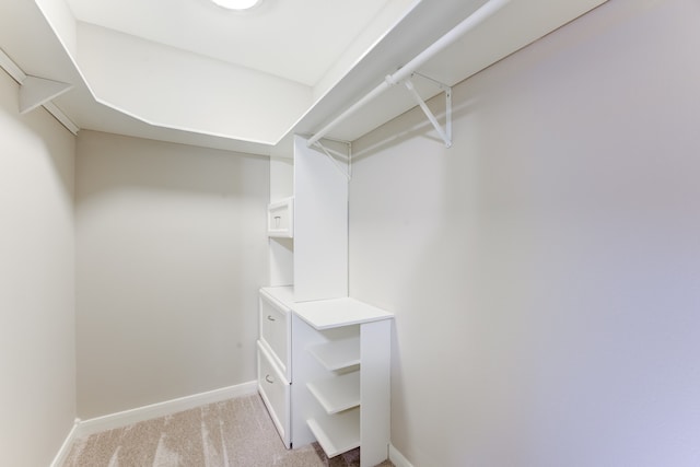 spacious closet with light carpet