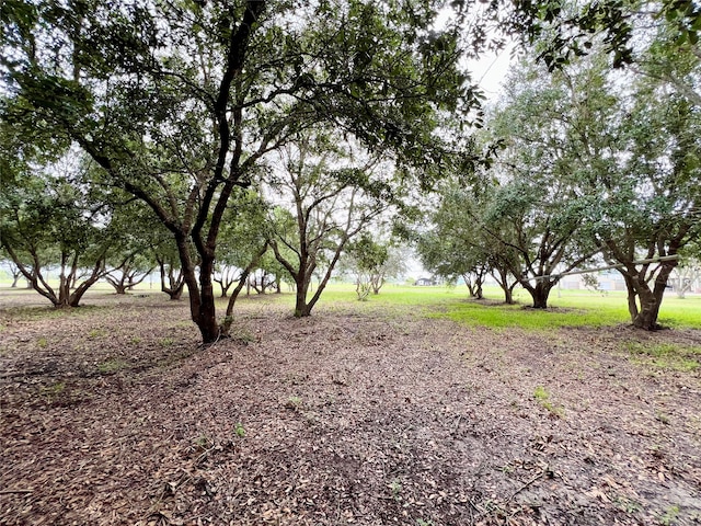 Listing photo 2 for 00 W Bayshore Dr, Anahuac TX 77514