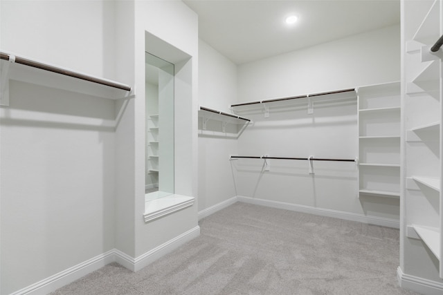 spacious closet with light carpet