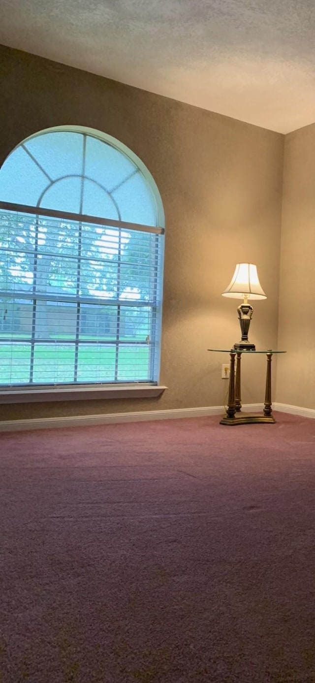 411 Sailfish St, Jones Creek, TX 77541 - unfurnished room featuring carpet flooring and a textured ceiling