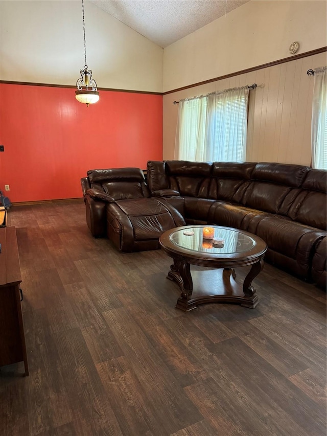 living room with vaulted ceiling, a textured ceiling, and dark hardwood / wood-style flooring