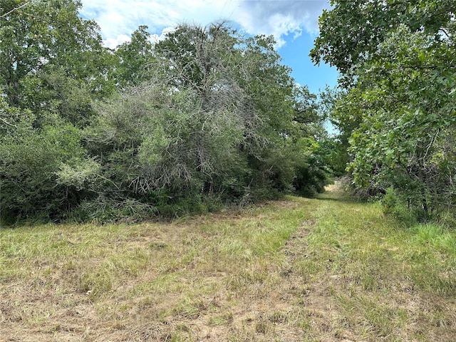 Listing photo 2 for 00 Buck Run Dr, Cistern TX 78959