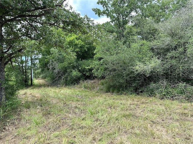 Listing photo 3 for 00 Buck Run Dr, Cistern TX 78959