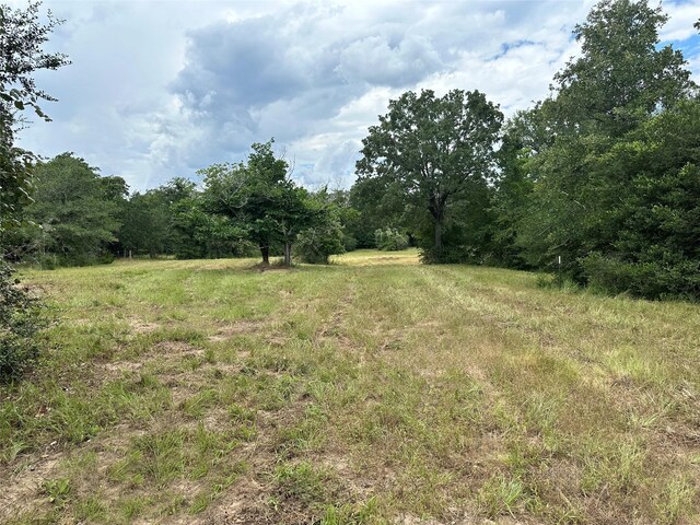 00 Buck Run Dr, Cistern, TX 78959 - photo 4