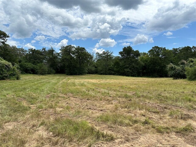 00 Buck Run Dr, Cistern, TX 78959 - photo 5