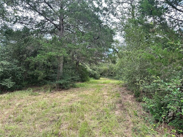 00 Buck Run Dr, Cistern, TX 78959 - photo 6
