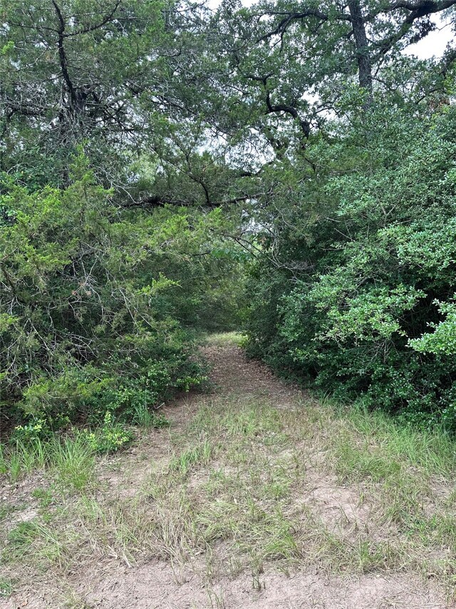 00 Buck Run Dr, Cistern, TX 78959 - photo 7