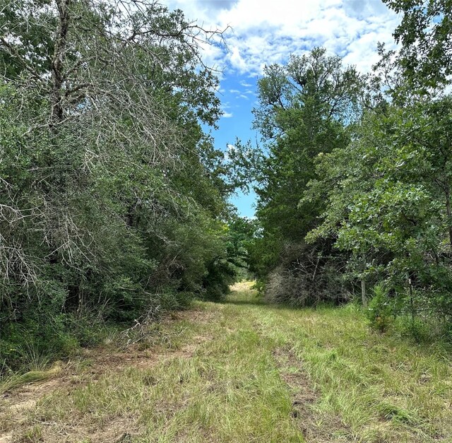 00 Buck Run Dr, Cistern, TX 78959 - photo 8