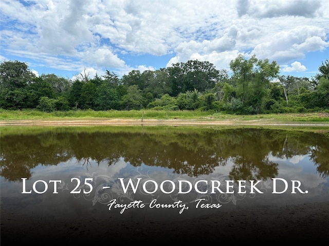 00 Woodcreek, Waelder TX, 78959 land for sale