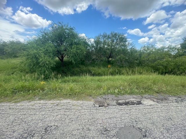 0 W 1st St, Bishop TX, 78343 land for sale