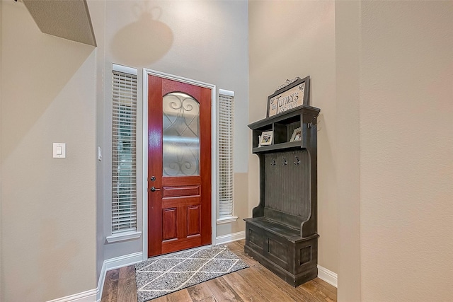 foyer with wood-type flooring